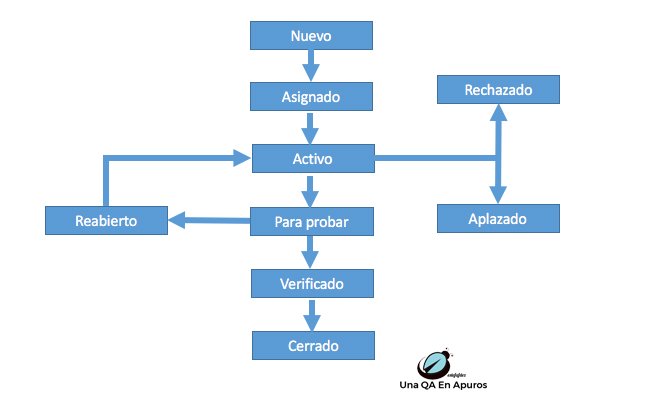 ciclo-vida-defecto